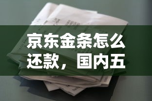 京东金条怎么还款，国内五大2025最新平台借款容易通过不看征信的