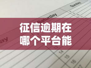 征信逾期在哪个平台能贷到款，省内五个2025最新61岁能申请那些网贷平台