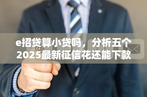 e招贷算小贷吗，分析五个2025最新征信花还能下款的平台