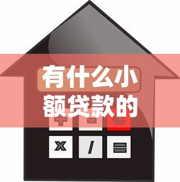 有什么小额贷款的：哪些平台提供小额借款服务