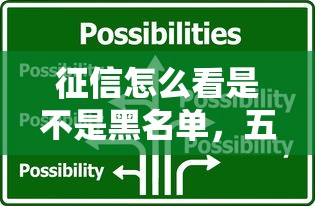 征信怎么看是不是黑名单，五大2025最新应急贷款平台
