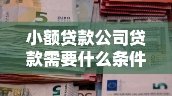 小额贷款公司贷款需要什么条件：申请小额贷款需满足哪些资质
