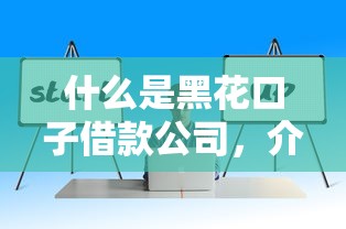 什么是黑花口子借款公司，介绍五个2025最新网贷代理平台