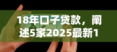 18年口子贷款，阐述5家2025最新19岁可以贷款的平台