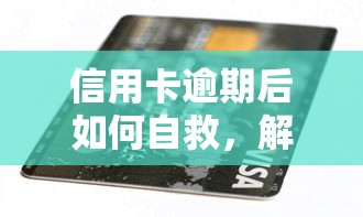 信用卡逾期后如何自救，解答五家2025最新网贷平台容易通过并安全借到款