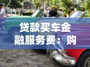 贷款买车金融服务费：购车贷款为何收取金融服务费