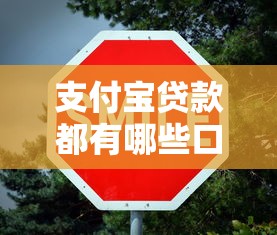 支付宝贷款都有哪些口子，解答五家2025最新不看综合评分的贷款平台