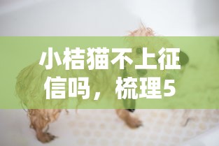小桔猫不上征信吗，梳理5个2025最新网贷平台可以借钱