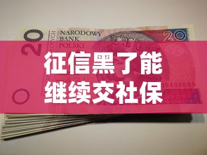 征信黑了能继续交社保吗，汇总五个2025最新黑户平台能借到钱的