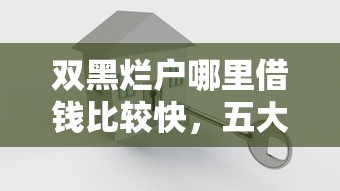 双黑烂户哪里借钱比较快，五大2025最新可以贷款平台