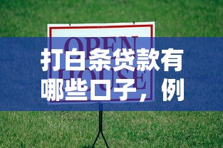 打白条贷款有哪些口子，例举5个2025最新15天贷款平台