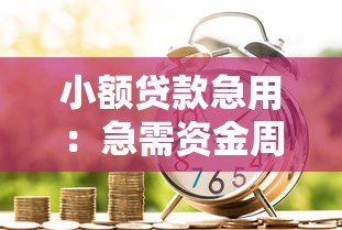 小额贷款急用：急需资金周转如何快速申请小额借款