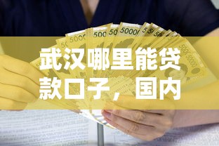 武汉哪里能贷款口子，国内五大2025最新平台贷款利率低