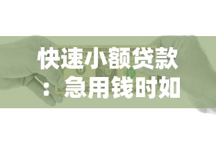快速小额贷款：急用钱时如何快速借到小额资金