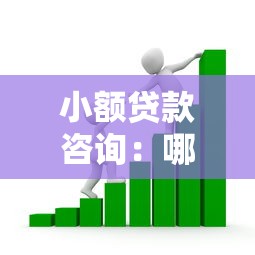 小额贷款咨询：哪里能快速申请小额借款
