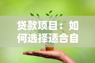 贷款项目：如何选择适合自己的融资方案