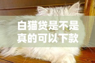 白猫贷是不是真的可以下款，国内五大2025最新双黑逾期严重能下款的平台