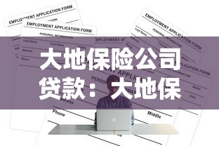 大地保险公司贷款：大地保险贷款如何申请