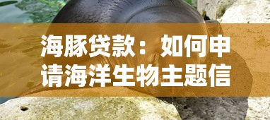 海豚贷款：如何申请海洋生物主题信贷服务