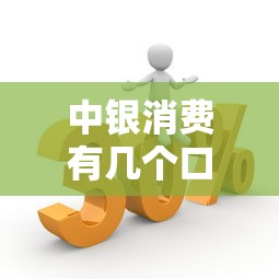 中银消费有几个口子贷款，盘点五个2025最新18岁能贷款的正规平台