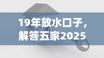 19年放水口子，解答五家2025最新网贷平台p2p