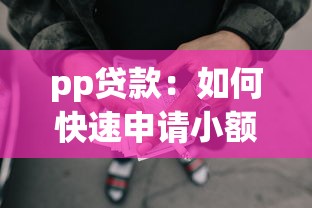 pp贷款：如何快速申请小额网贷