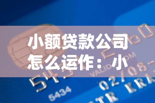 小额贷款公司怎么运作：小额信贷机构如何开展业务