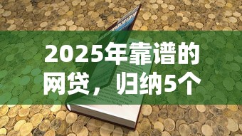网贷黑口子是什么意思啊，归纳5个2025最新征信花用什么贷款软件