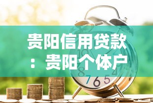 贵阳信用贷款：贵阳个体户如何申请低息贷款