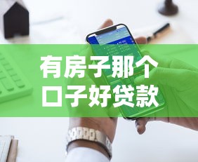 有房子那个口子好贷款，五大2025最新最快的贷款平台