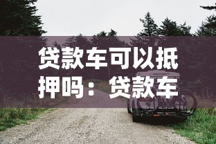 贷款车可以抵押吗：贷款车能否再次抵押