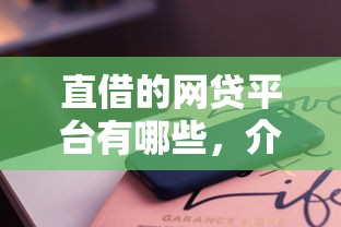 直借的网贷平台有哪些，介绍五个2025最新容易借钱软件