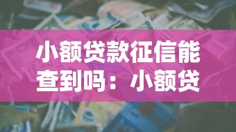 小额贷款征信能查到吗：小额贷款能否查询信用报告