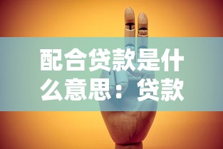 配合贷款是什么意思：贷款协助具体指什么