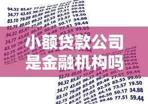 小额贷款公司是金融机构吗：小额贷款公司属于金融行业吗