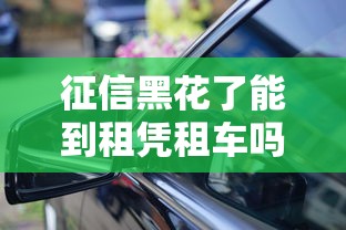 征信黑花了能到租凭租车吗，省内五个2025最新黑户在平台可以借款