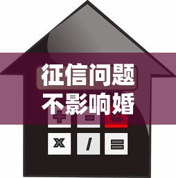 征信问题不影响婚姻鉴定，阐述5家2025最新借得到的贷款平台