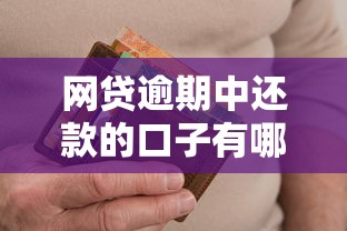 网贷逾期中还款的口子有哪些，分析五个2025最新资产包口子