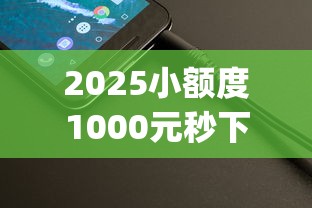 2025小额度1000元秒下款app，整理五个2025最新能下款的贷款平台