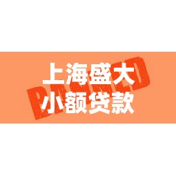 上海盛大小额贷款股份有限公司：盛大贷款公司服务如何