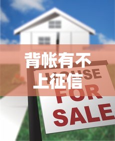 背帐有不上征信的吗，国内五大2025最新有什么可以贷款的平台