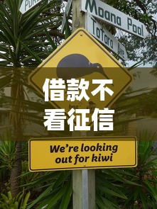 借款不看征信负债的平台，例举5个2025最新网上借钱平台