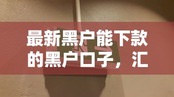 最新黑户能下款的黑户口子，汇总五个2025最新黑户轻松下款的口子