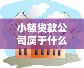 小额贷款公司属于什么行业：小额贷款机构归属哪个产业类别