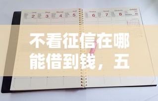 不看征信在哪能借到钱，五大2025最新2020年12月好下款的口子