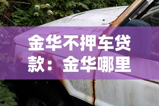 金华不押车贷款：金华哪里可以办理免押车的贷款