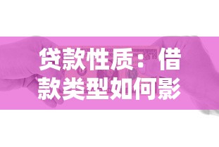 贷款性质：借款类型如何影响融资选择