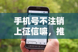 手机号不注销上征信嘛，推荐五个2025最新和信用飞一样好下款的口子