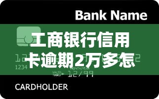 工商银行信用卡逾期2万多怎么办啊，同城五个2025最新平台贷款被骗了怎么办