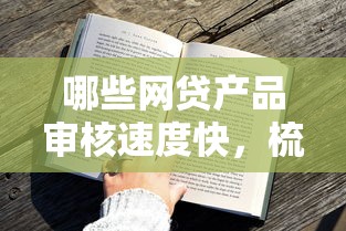 哪些网贷产品审核速度快，梳理5个2025最新小额贷款平台好